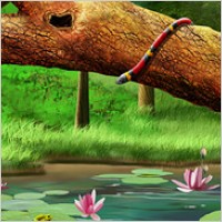 Forest lotus