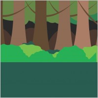 Forest scene