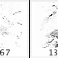 Four Large Grunge Brushes
