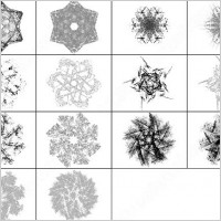 fractals snowflakes brush