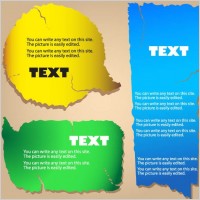 fracture texture color label 02 vector