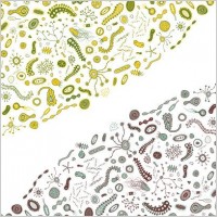 Free Bacteria Vector Graphic