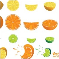 free lemon vector