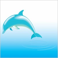 Free Dolphin Vector