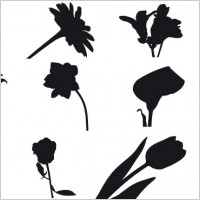 free field flowers
