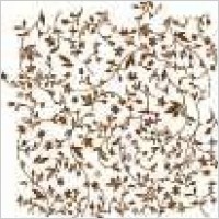 Free Floral Pattern