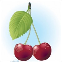 Free Red Cherry Vector Illustration