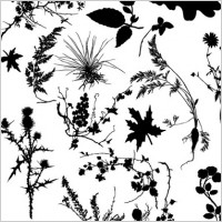 Free Various Plant Silhouett Vector