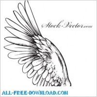 Free vector angel wing