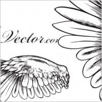 Free Vector Angelic Wing