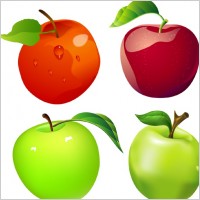 Free Vector Apples