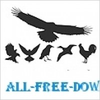 Free Vector Birds Pack