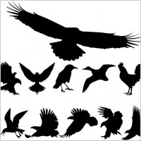 Free Vector  Templates on Vector Animal   Free Vector Popular Show From 30 To 45