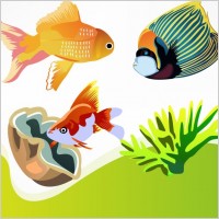 Free Vector Fish