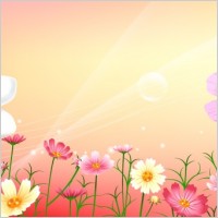 Free Vector Flowers 04