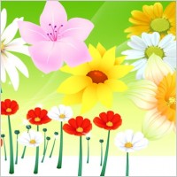 Free Vector Flowers