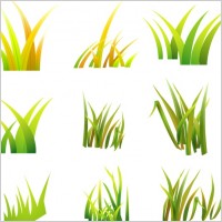 Free Vector Grass