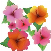 Free Vector Illustration With Hibiscus Flowers