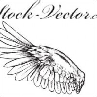 Free vector wing