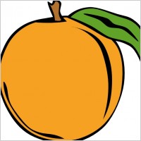 Fruit Orange clip art