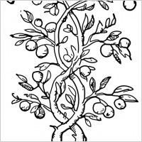 Fruit Tree Branches clip art
