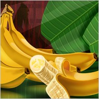 Fruits - bananas psd layered material