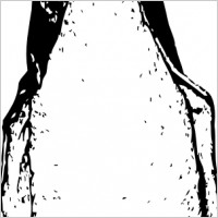 Funky Penguin From Front clip art
