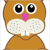 Funny baby bunny sitting