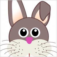 funny bunny face