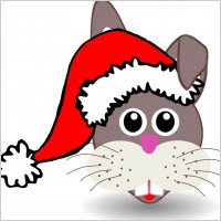 Funny bunny face with Santa Claus hat