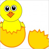 Funny Chick Cartoon Newborn Coming Out from the Egg