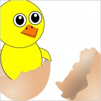Funny Chick Cartoon Newborn Coming Out from the Egg