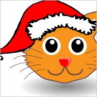 Funny kitty face with Santa Claus hat