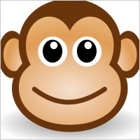 funny monkey face