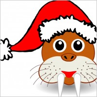 Funny walrus face with Santa Claus hat