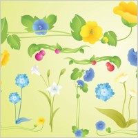 Garden Flowers