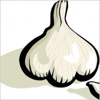 Garlic clip art Free vector in Open office drawing svg ( .svg ) format