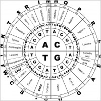 Genetic Code BW