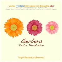 

								Gerbera							