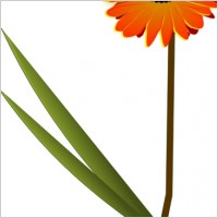 Free Floral Vector  on Gerbera Daisy Vector Art Free Vector For Free Download  About 3 Files