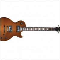 

								Gibson Les Paul							