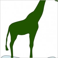 giraffe on ice