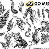 go media produced vector continental and lace wings