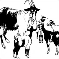 Goat And Kids clip art
