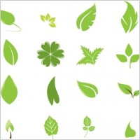 Going Green with Leaves
