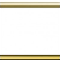 Gold Frame