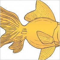 Golden Fish clip art