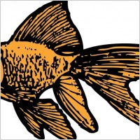 Goldfish clip art