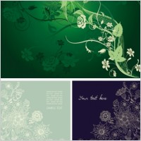 gorgeous elegant mysterious patterns vector