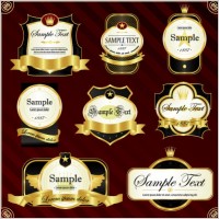 gorgeous gold label vector